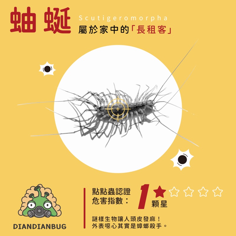 蚰蜒插圖