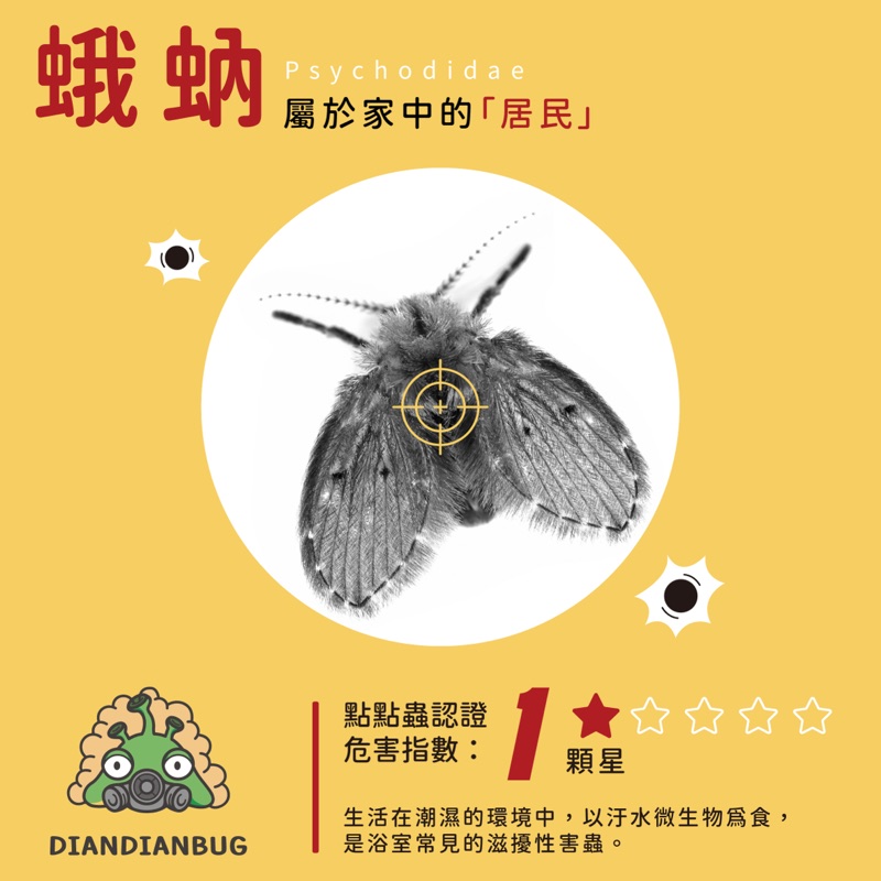 蛾蚋插圖