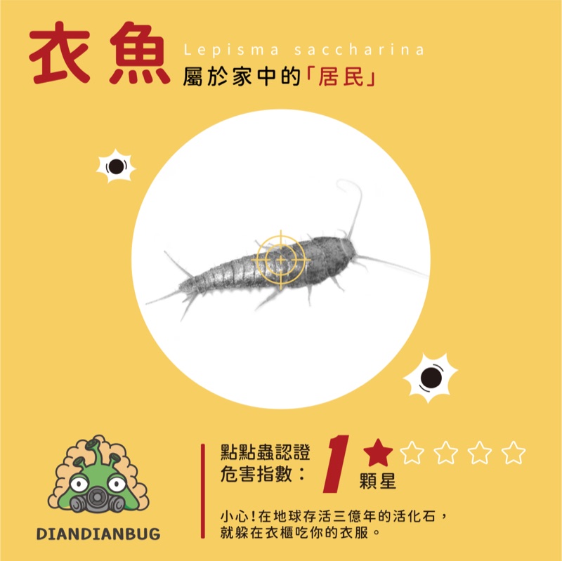 衣魚插圖