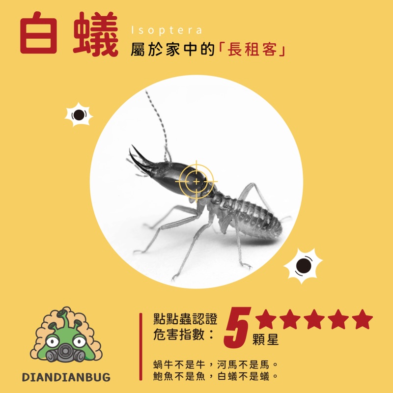 白蟻插圖
